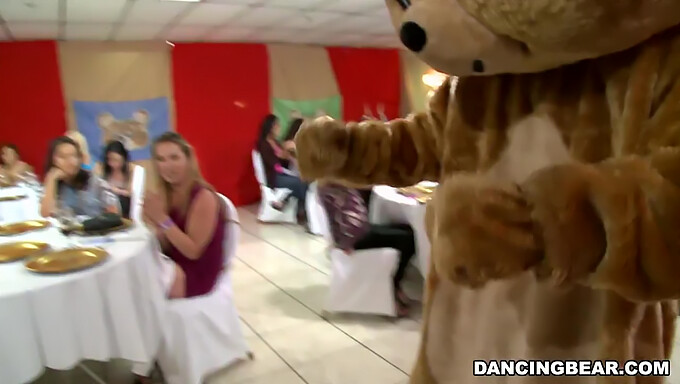 ¡únete A Las Festividades Con El Famoso Dancing Bear En Alta Definición! (Db9822)